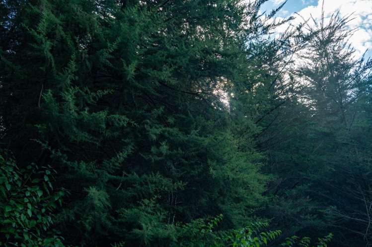 Four Rivers Highway Murchison_19