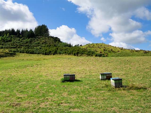 210 Wainui South Road Whakamarama_4