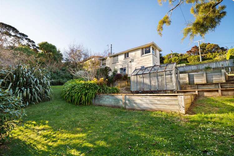 429 Pine Hill Road Pine Hill_21