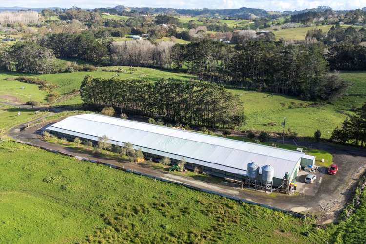 45 Tawa Road Kumeu_0