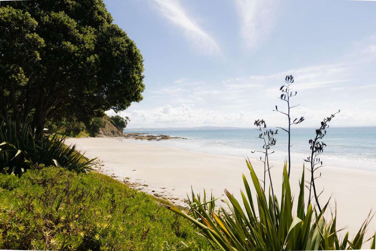 Andersons Cove_3