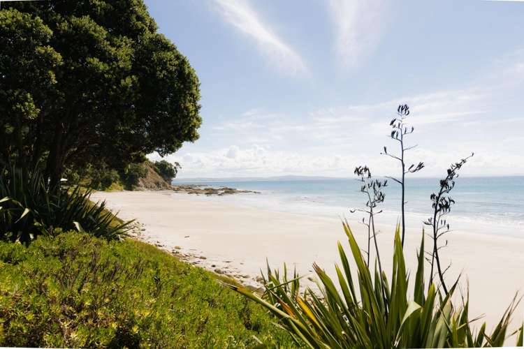 Andersons Cove Mangawhai_7