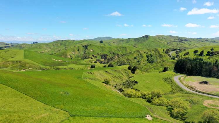 207 Mangatuna Road Weber_5