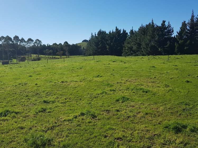 25 Wenlock Street Waihi_5