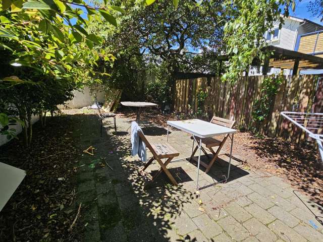 23b Palmer Street 1251_1