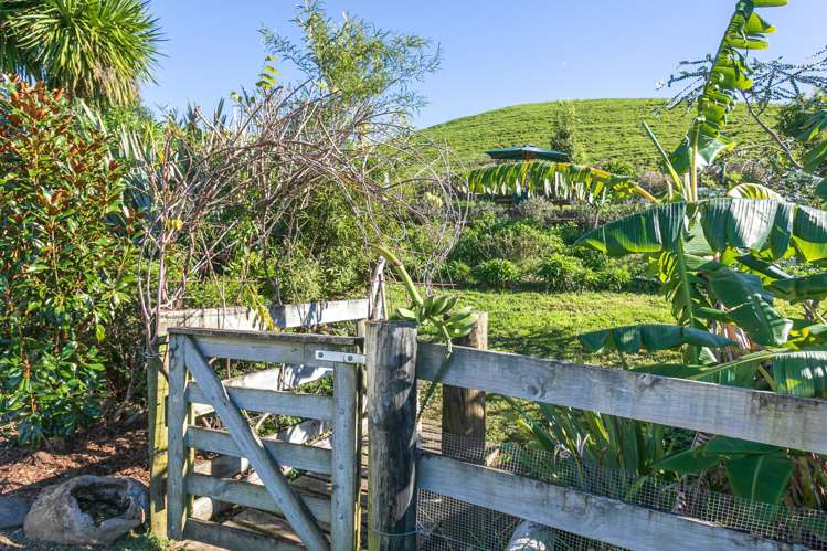2787A Tapu-Coroglen Road_5