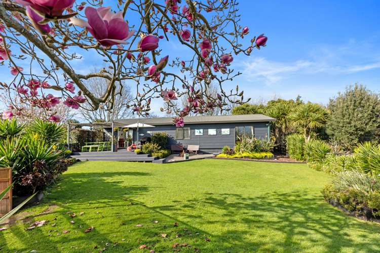 554 Rangiuru Road Te Puke_14