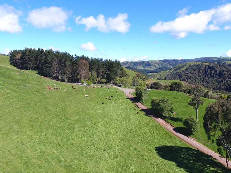 2229 State Highway 31, Kawhia Road Otorohanga_8