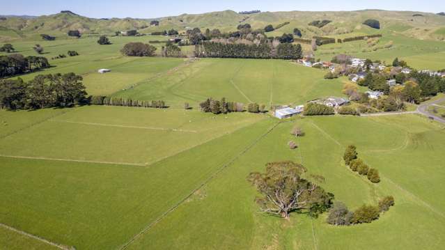 Small Farm - Eketahuna