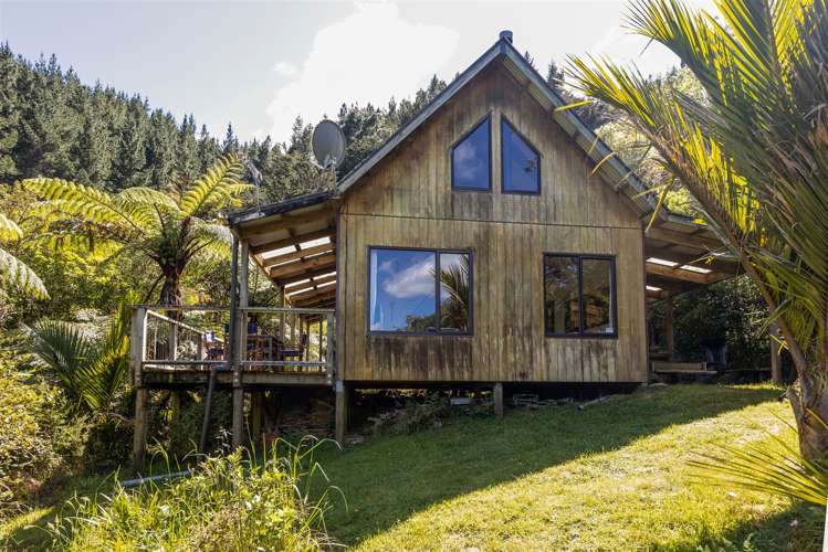 Little Nikau Bay Kenepuru Sound_19