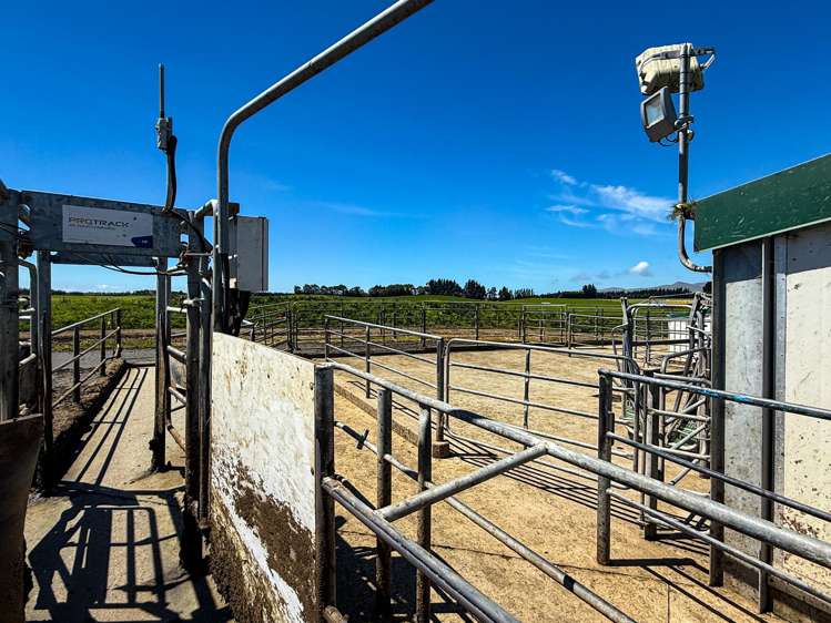 10 Roy Road Clutha_18