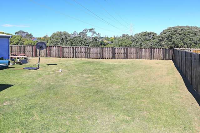 37 Tony Segedin Drive Avondale_3