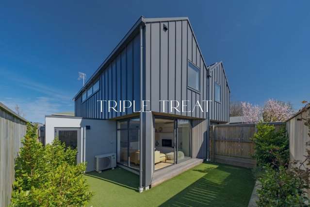 Triple Treat - Triple Parking