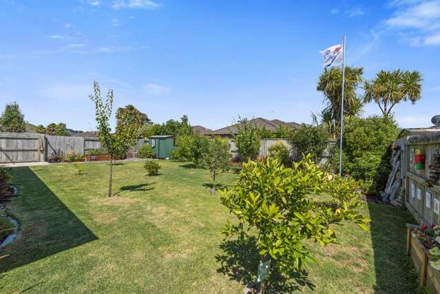 23 Lewknor Drive Papamoa_3