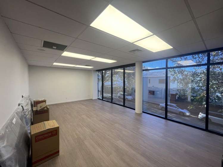 5 Wilkins Street Freemans Bay_9