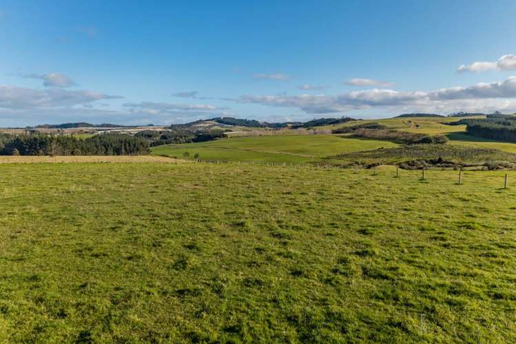 252D Otaha Road Kerikeri_9