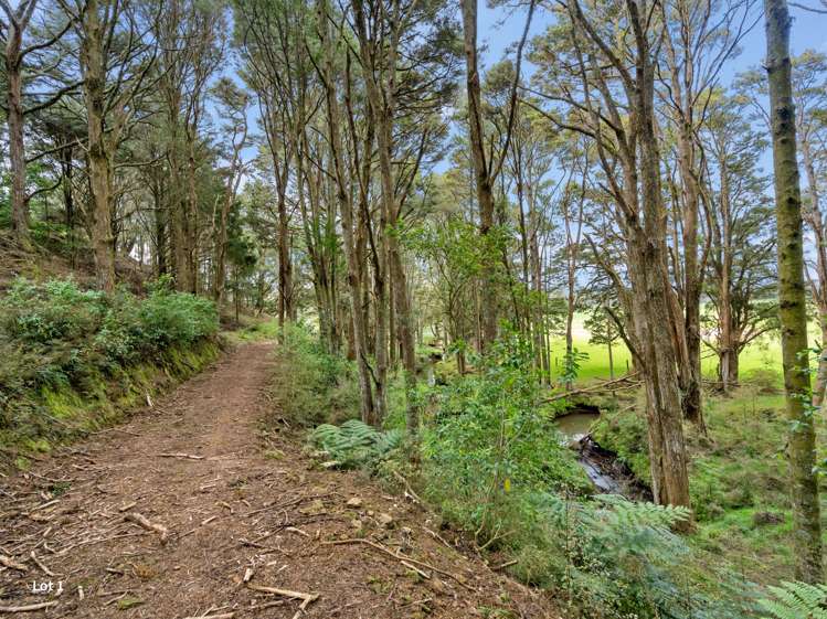 Lot 1 or Lot 2, 0 Roydon Drive Ruatangata West_8