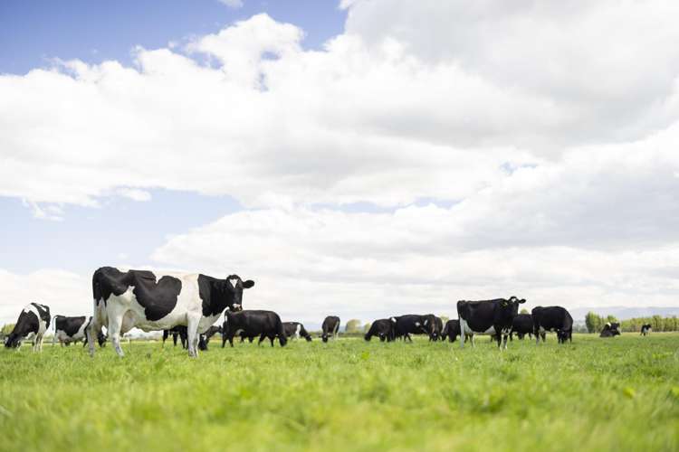 47 Wilson Road Timaru_14