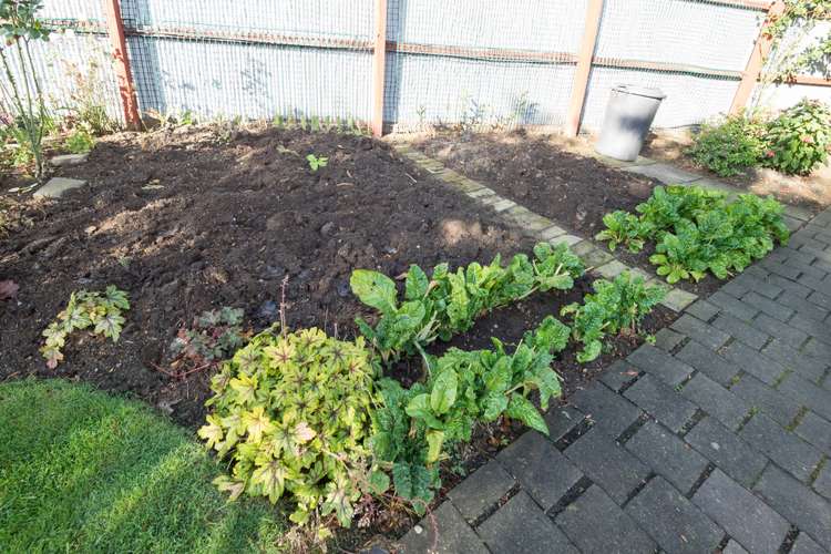 18 Woods Street Allenton_17