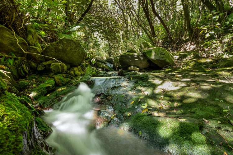 243 Boons Valley Road Waikawa_24