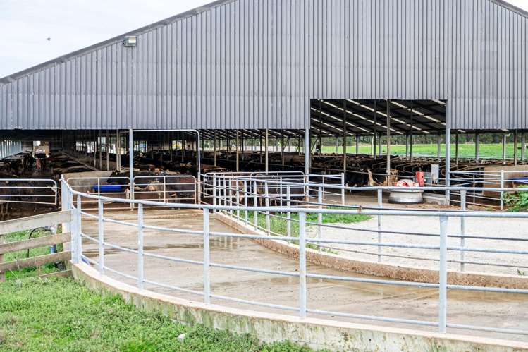 1444 Maronan Valetta Road Westerfield_5