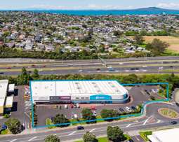 Bulk retail in Wairau Valley with blue-chip tenants