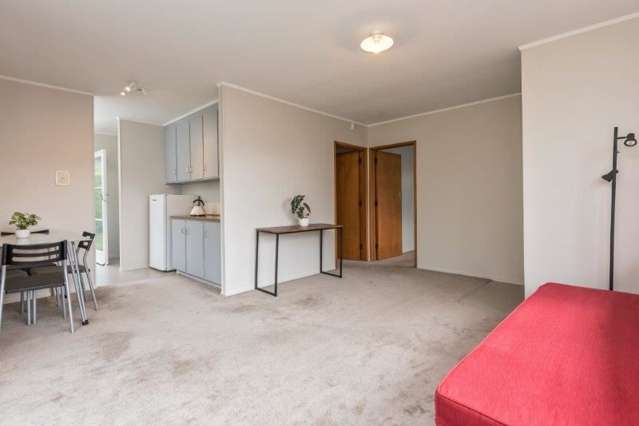 1/22 Wiremu Street Mount Eden_3