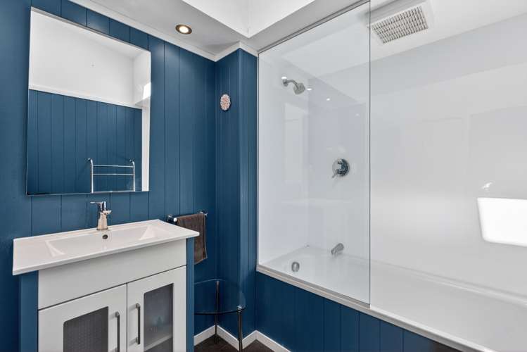 31 Nikau Street Eastbourne_19