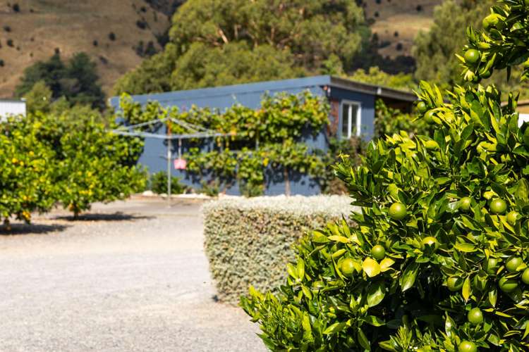 12 Prices Road Havelock_44