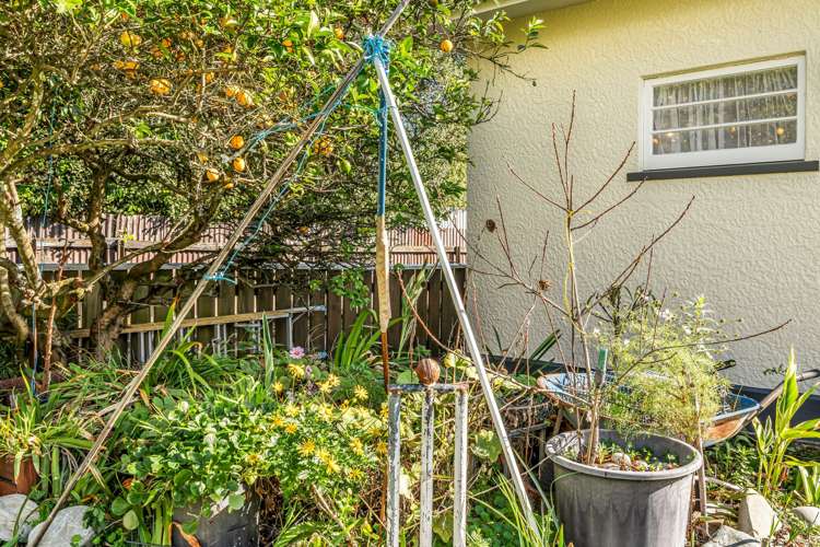 15 Willow Avenue Stoke_23