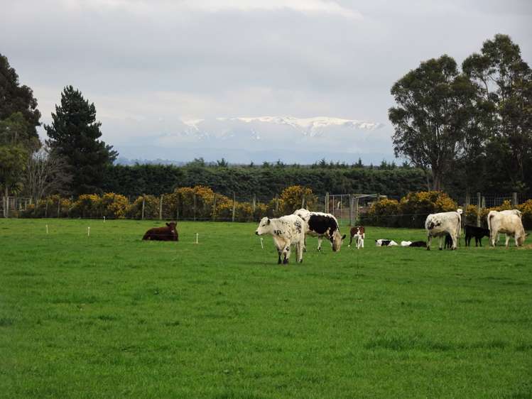 58 Levels Plain Road Levels_8