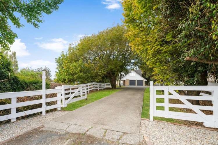 37 Green Road Dairy Flat_25