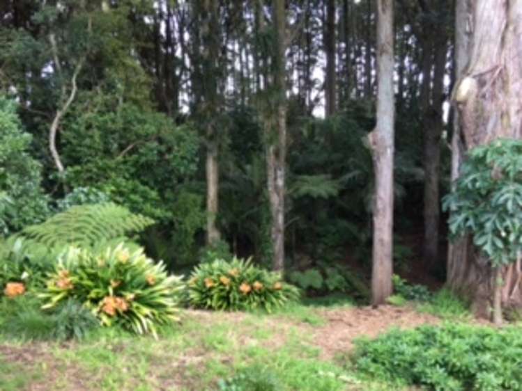 83 David Avenue Hillpark_3