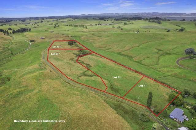 166c Renown Road Waikokowai_4