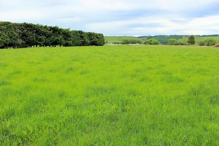 105 Lynwood Road Hillside_21