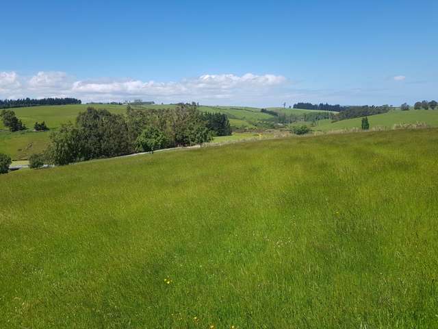 Four Mile Creek Road Balclutha_3