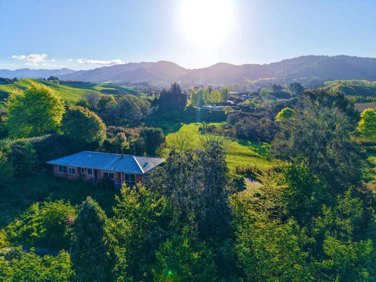 74B Willoughby Road Katikati_18