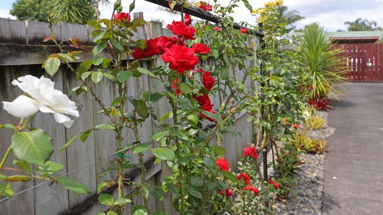 1/56 Woodglen Road Glen Eden_32