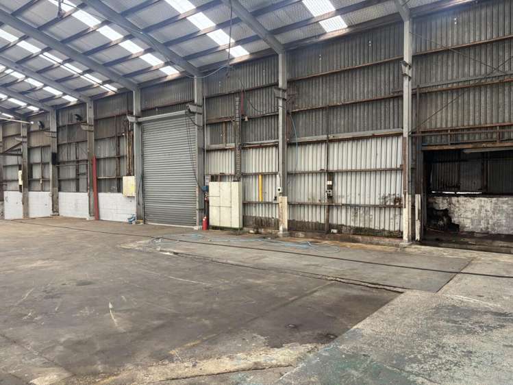 589 Rosebank Road Avondale_5