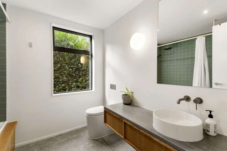 13 Hoggard Street Vogeltown_9