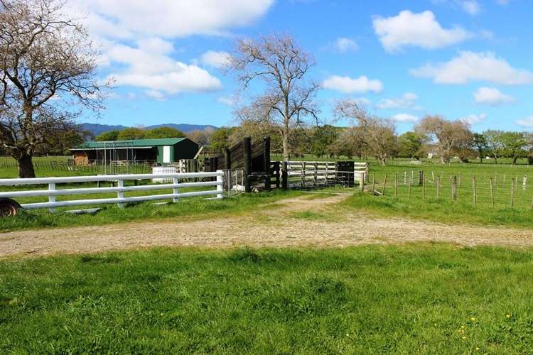 30 Kimberley Road Levin_4