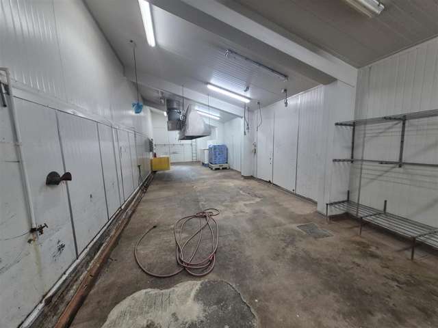 119 Wordsworth Street Sydenham_2