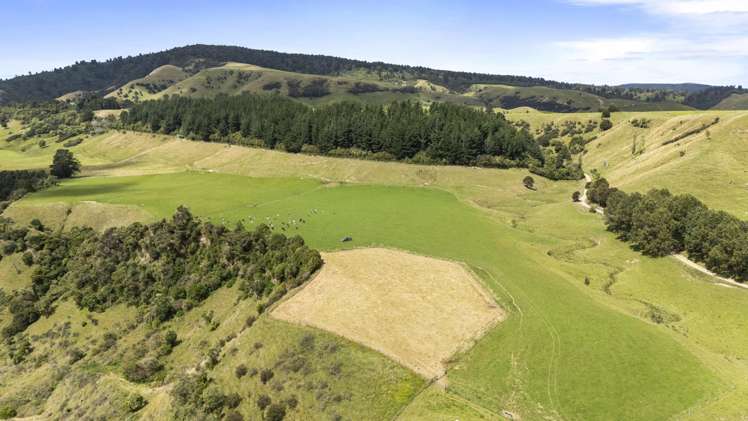 1 Takapari Road Pohangina_9