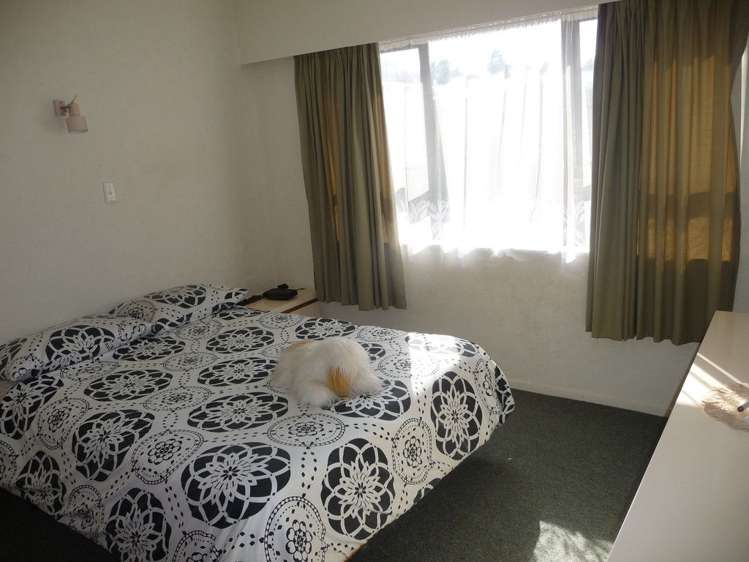 3/124 Arapuni Street Putaruru_5