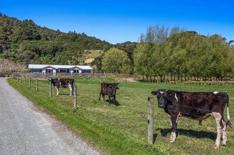 375c Taneatua Road Taneatua_23