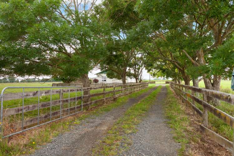 39 Awa Road Springdale_6