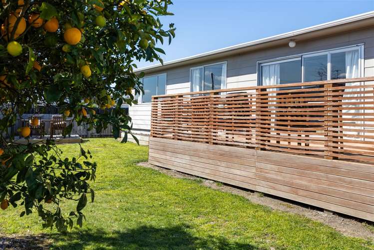 101 Howick Road Redwoodtown_14