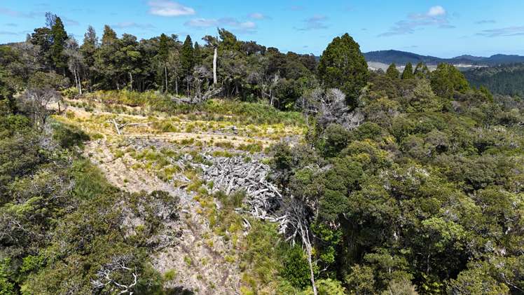 Otangaroa Side Road Kaeo_5