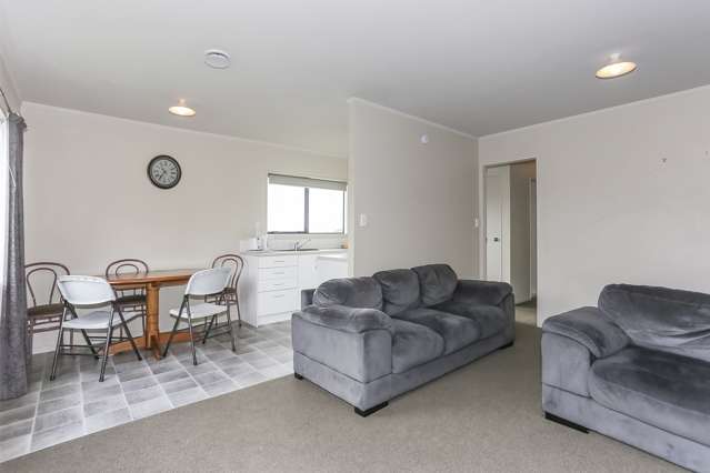 17 Gordon Street Te Puke_1