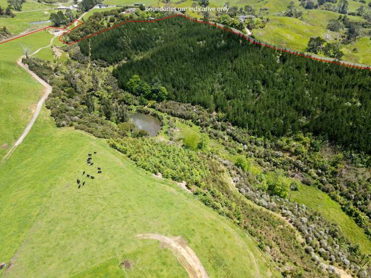 241 Work Road Aongatete_12